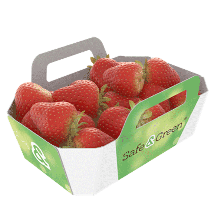 Лотки для клубники, открытые