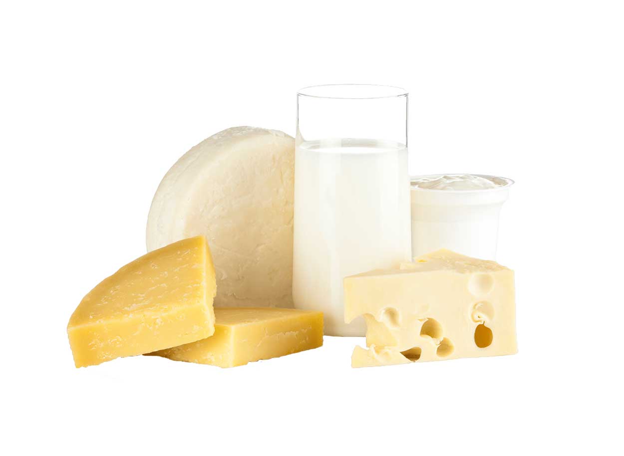 Упаковка для молочной продукции