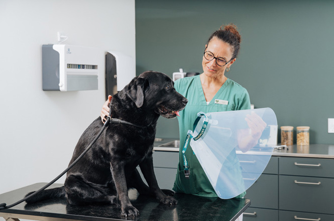 Se hur Smurfit Westrock utvecklade en smart, platsbesparande förpackningslösning till Vetnordics konformade skyddskragar för djur, som förbättrar effektiviteten för veterinärkliniker.