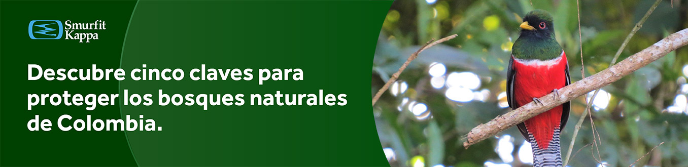 cta-prevenir-incendios-forestales