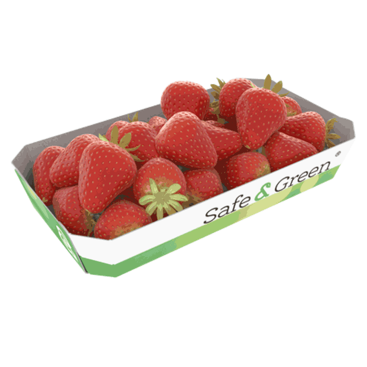 Canastillas para frutillas