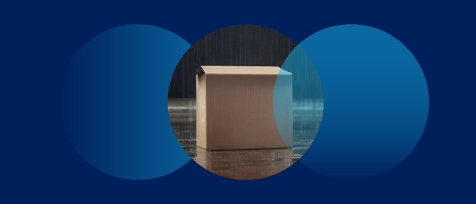 Weather resistant packaging