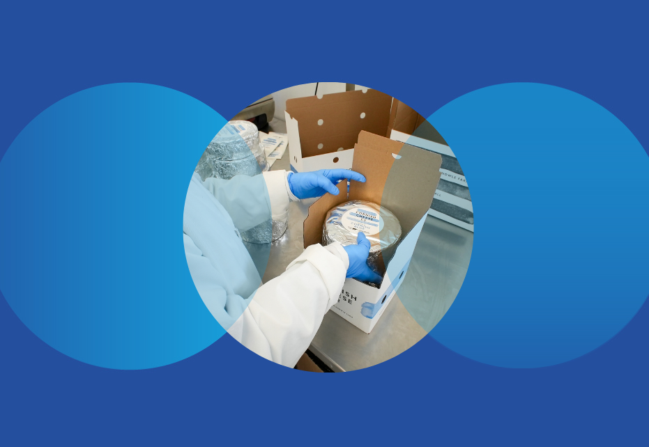 Cheese packaging boxes