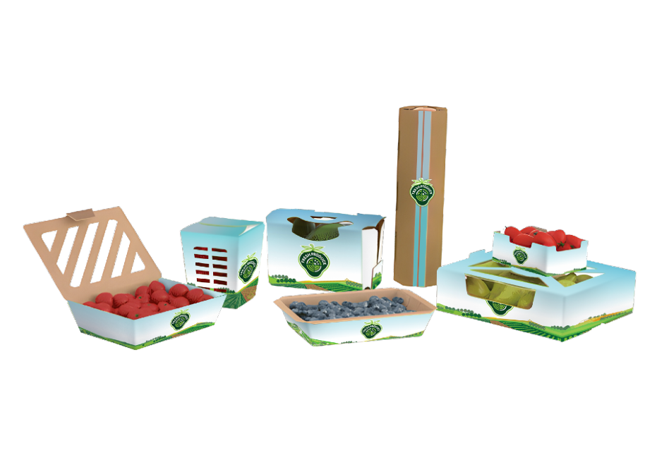 Fresh produce shipping box