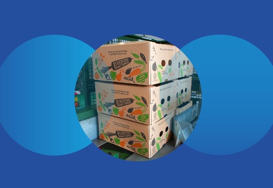 Vegetable packaging boxes