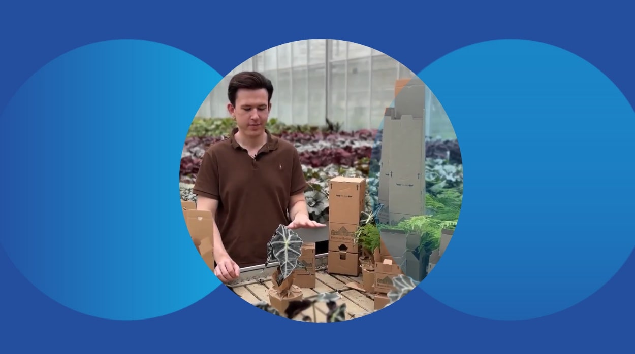 Live plant packaging