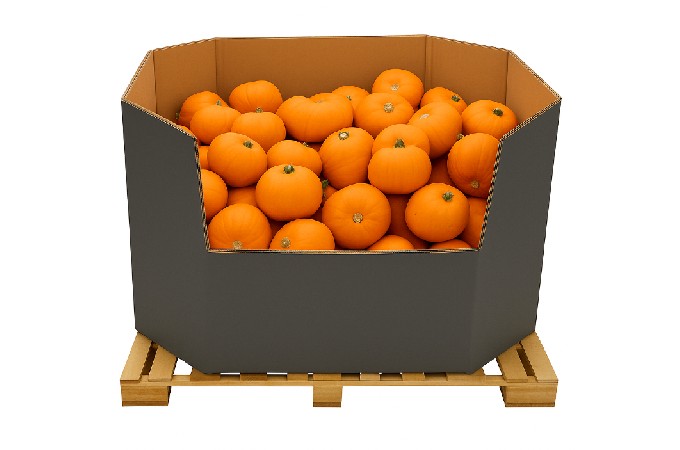Pumpkin bin
