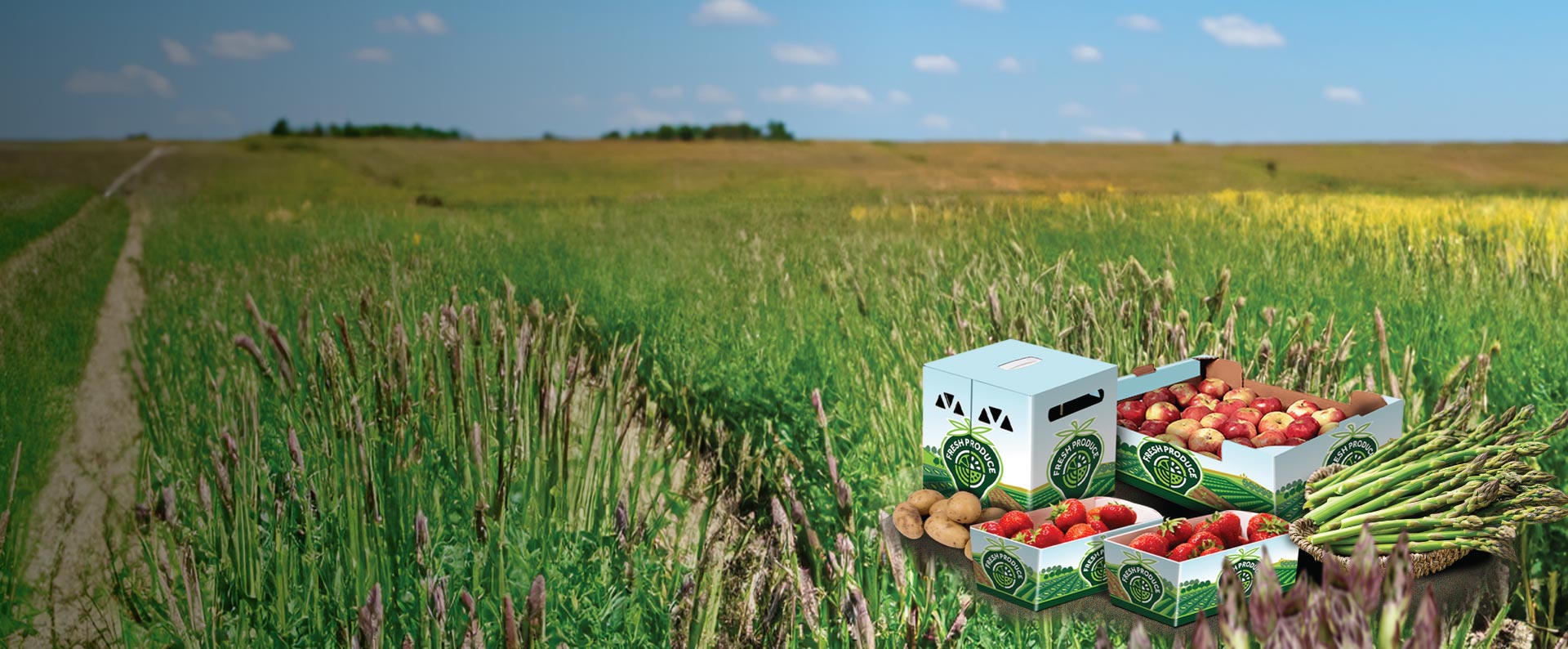 Fresh produce packaging