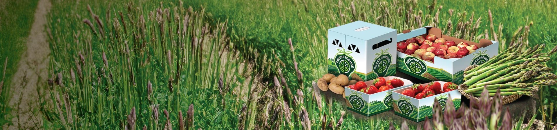 Fresh produce packaging