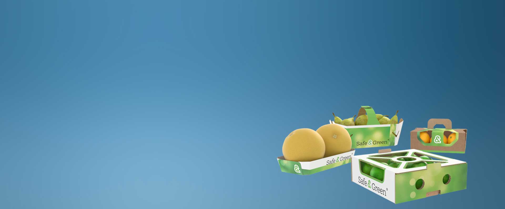 Cardboard punnets, Fruit Punnets, Punnets for fruit