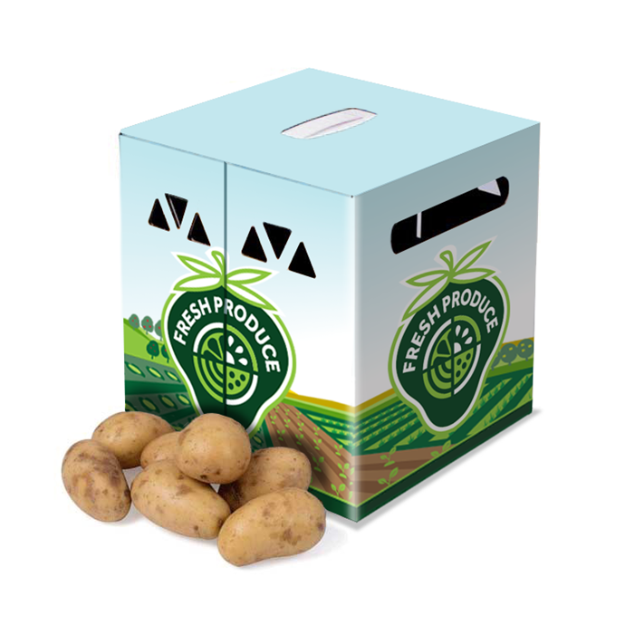 Cases Fruit Vegetable Box