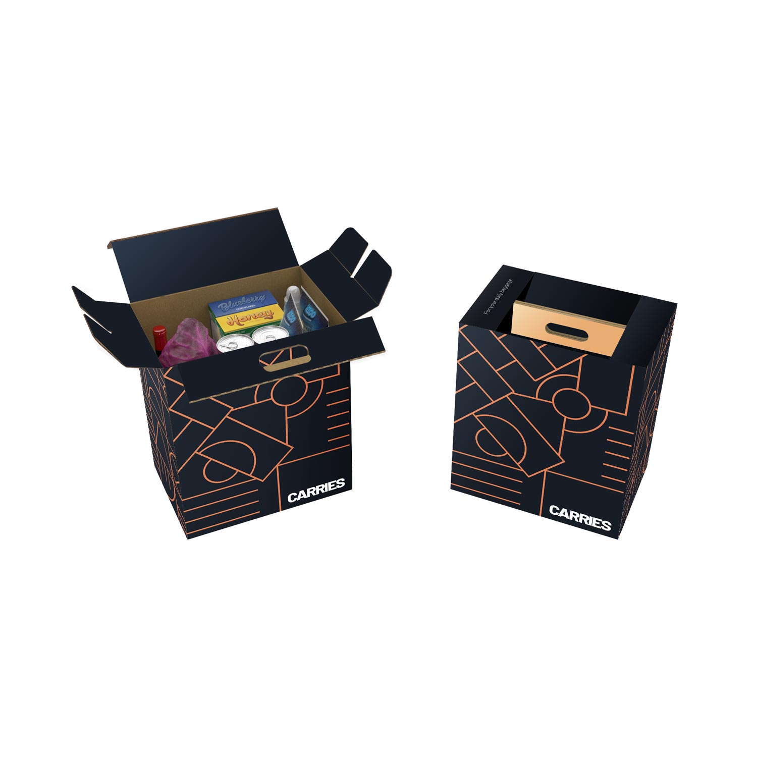 carriers cardboard box handheld food example