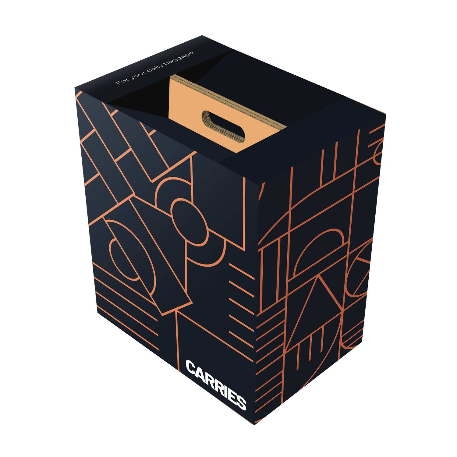 carriers cardboard box handheld food example