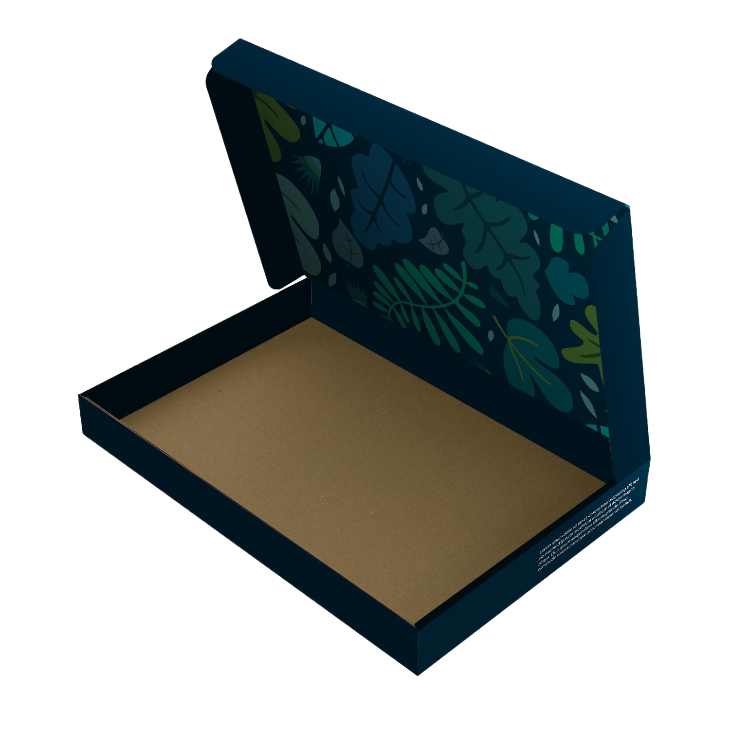 Letterbox Friendly Packaging Open Box