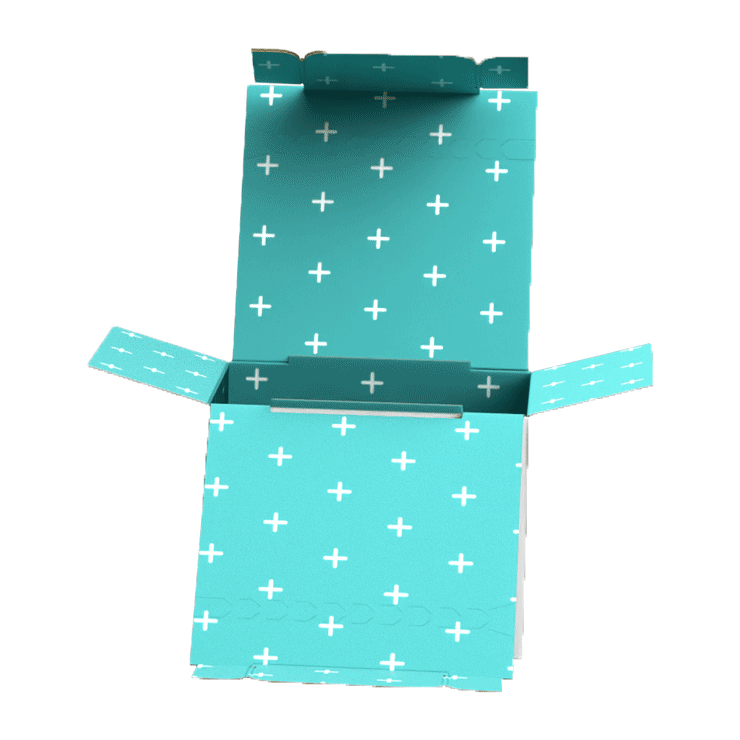 Tamper evident packs