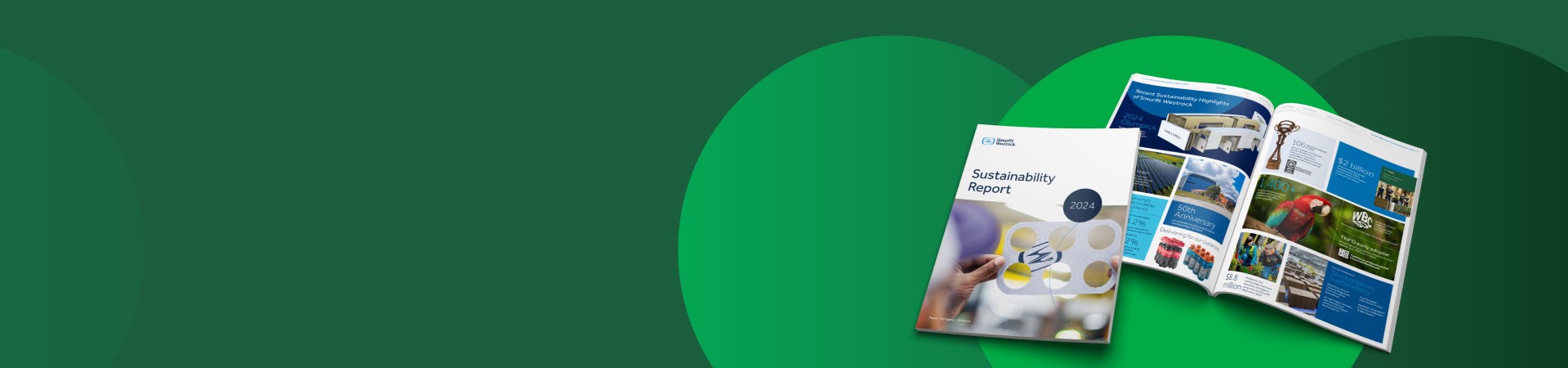 sustainability report 2024