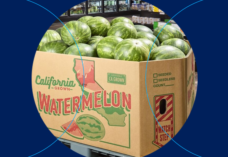 Cardboard Octabins: The smart choice for strong, sustainable bulk packaging