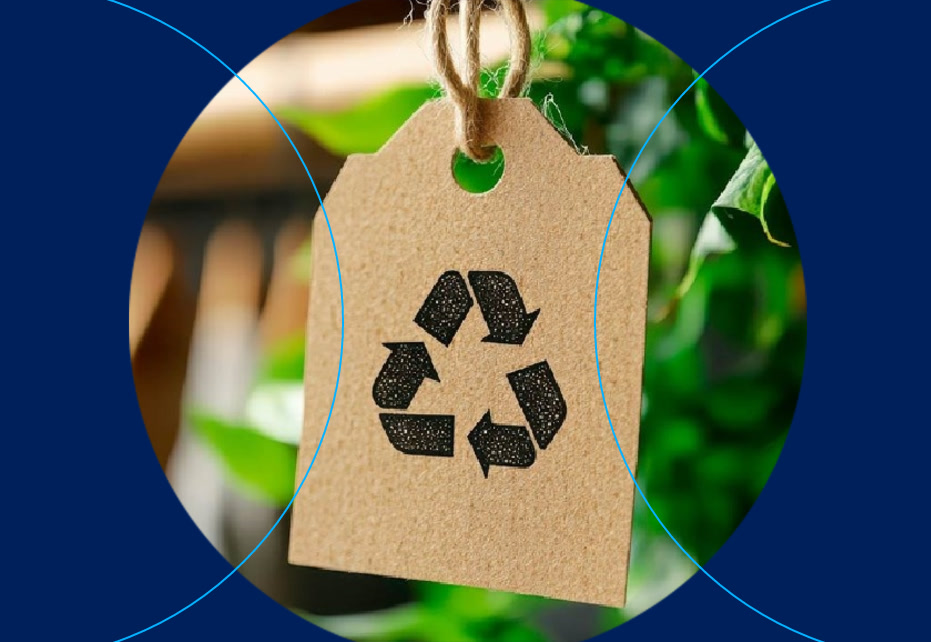 Eco-friendly vs Sustainable packaging: Why ‘Sustainable’ is the smarter choice