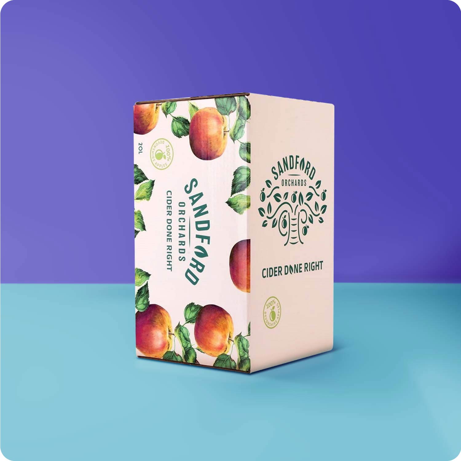 Bag in Box Packaging