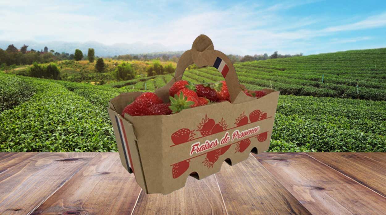 strawberry punnets, berry punnets, fruit packaging