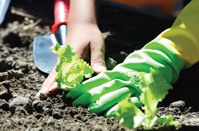 Protecting our planet