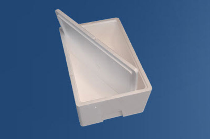 ThermoBox-EPS Packaging